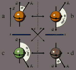 Particle_symmetry
