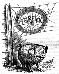 Terrific_Pig